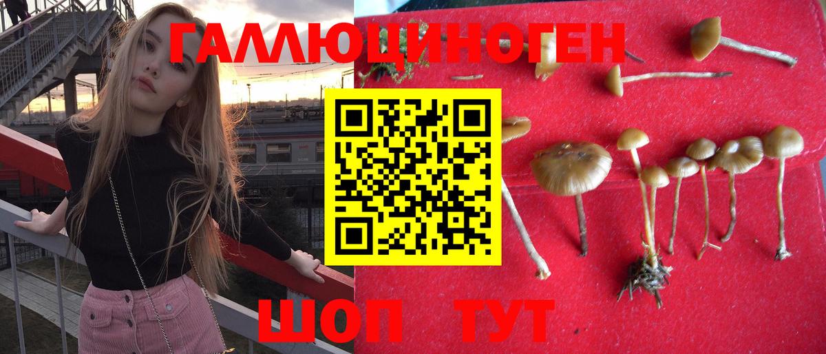 Туймазы  Галлюциногенные грибы Magic Shrooms  Вход с VPN  Псилоцибиновые грибы мухоморы 